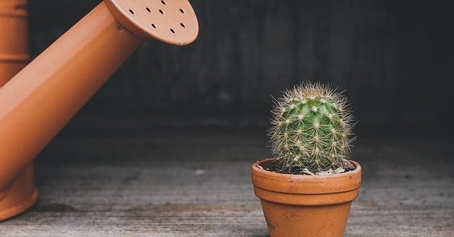 Watering Tracker App