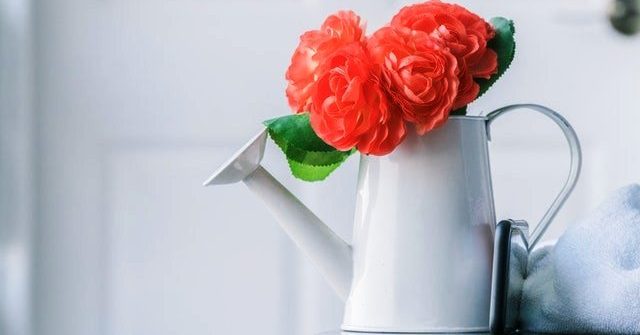small indoor plant watering can