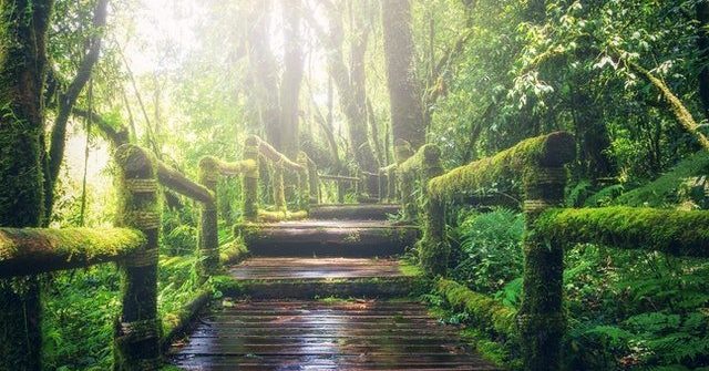 top botanical gardens in europe