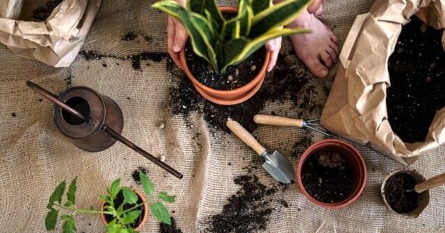 How to Neutralize too much manure in the garden