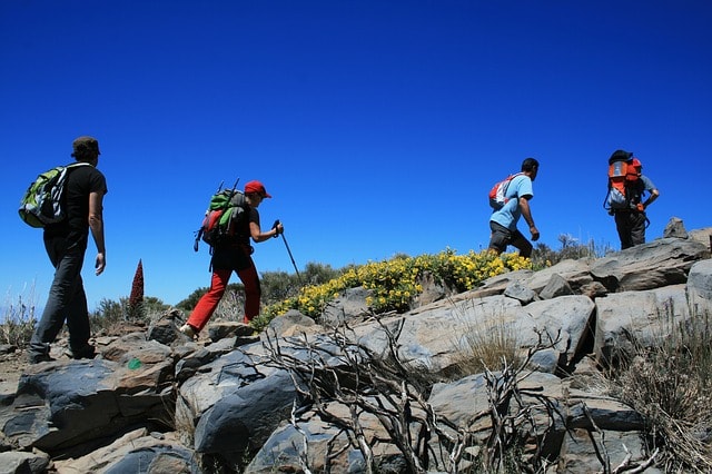 canary islands national park