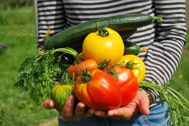 Vegetable Gardening Apps
