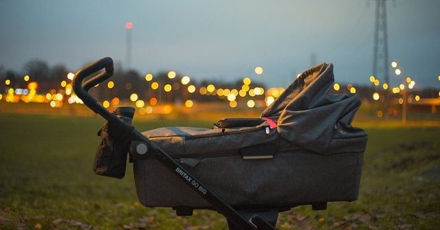 best stroller bag