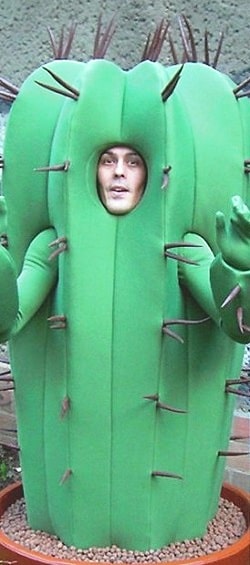 halloween-succulent-costume-for-kids