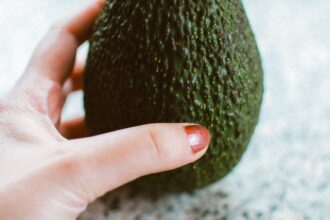 Grow Avocado from Avocado using Toothpick or without Using Toothpick