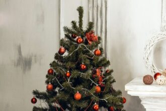 Christmas gift