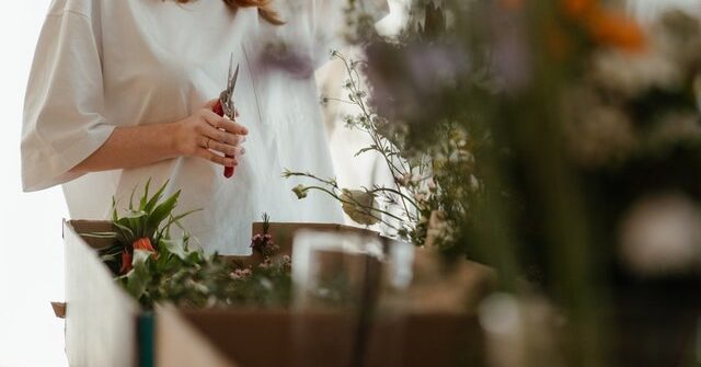 Best Pruning Shears for Indoor Plants