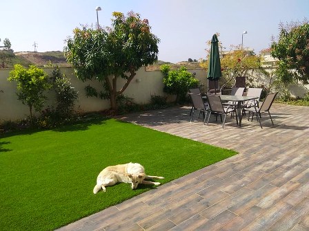 artificial grass for dogs