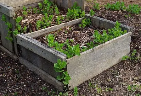 How to Make a Garden Box from Wooden Pallets?