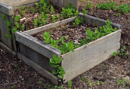 pallet garden box