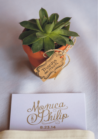 succulent party favor