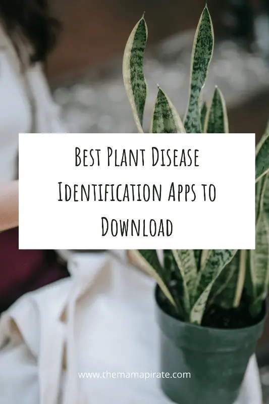 plant disease identification app