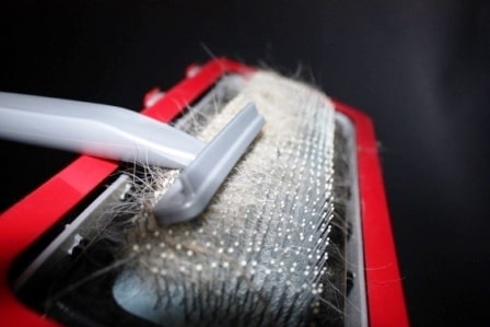 8 Best Pet Hair Remover for Car Carpet