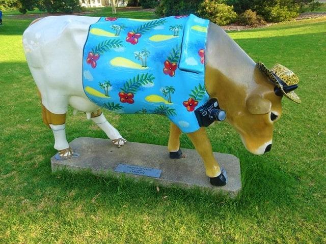 shepparton-Moooving-Art