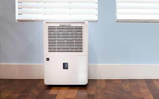 How Dehumidifiers Can Protect Your Home from Mould and Mildew
