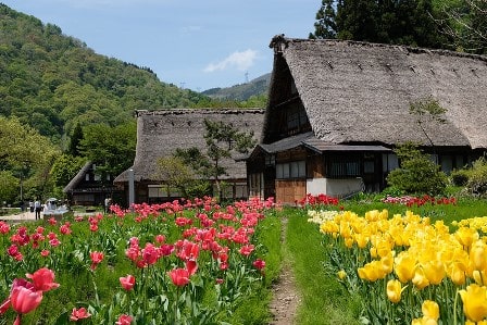 Gokayama