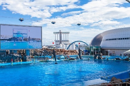 Port Of Nagoya Public Aquarium