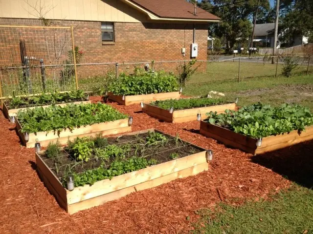 DIY Raised Garden Beds