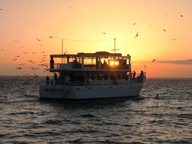 Southern Star Dolphin Cruise