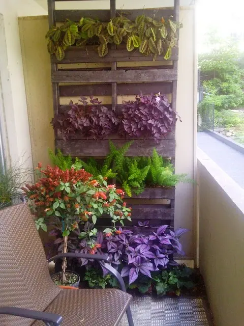 Vertical Gardening with Pallets