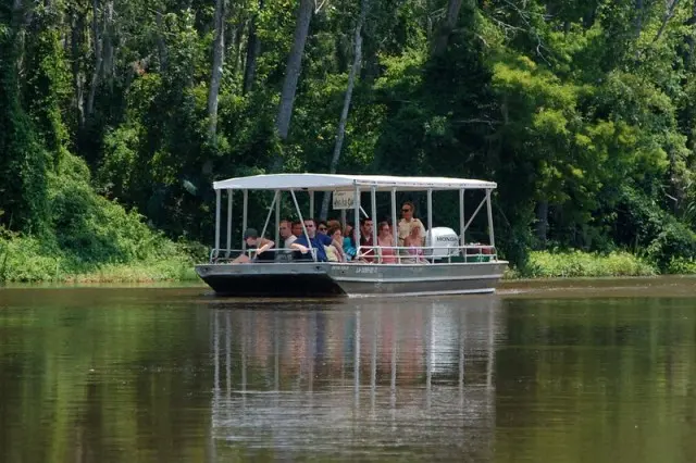 swamp boat tour