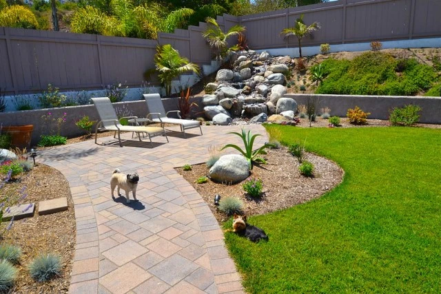 Pet-Friendly Landscaping