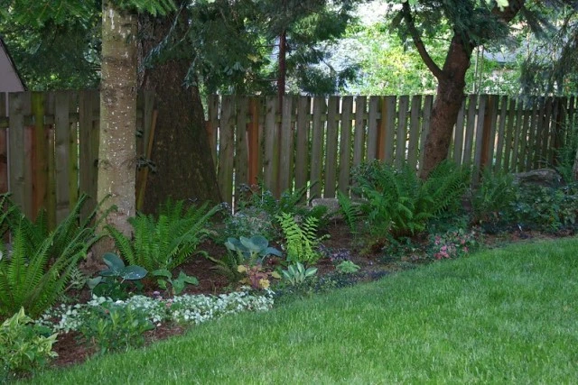 Shaded Side Yards