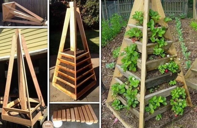 Vertical Gardening