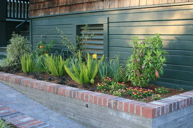 Small raised vegetable garden bed with a trellis in a backyard corner